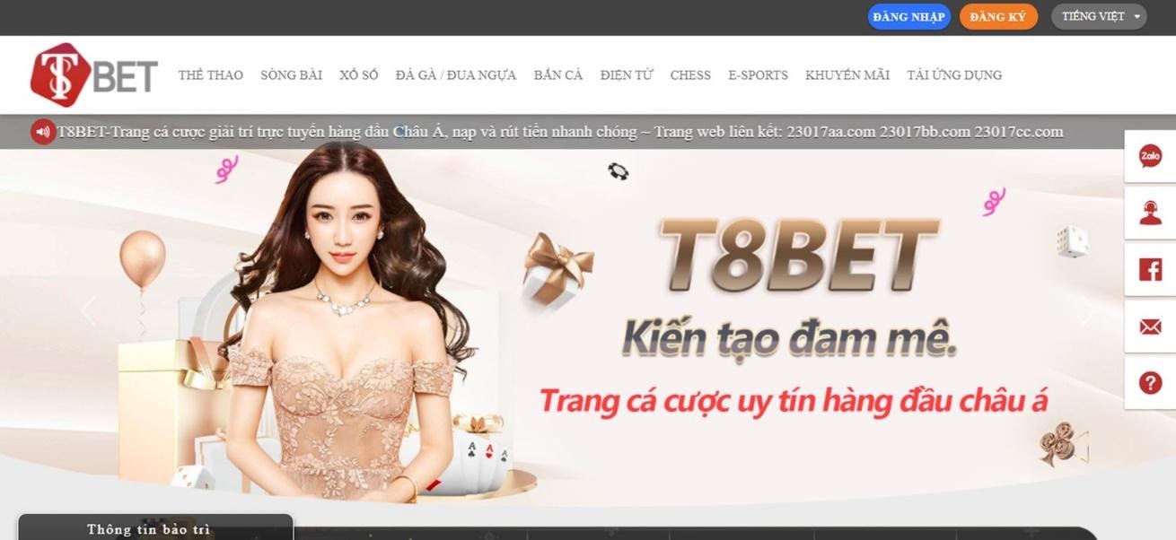 T8bet – Nhà cái uy tín nhất Việt Nam